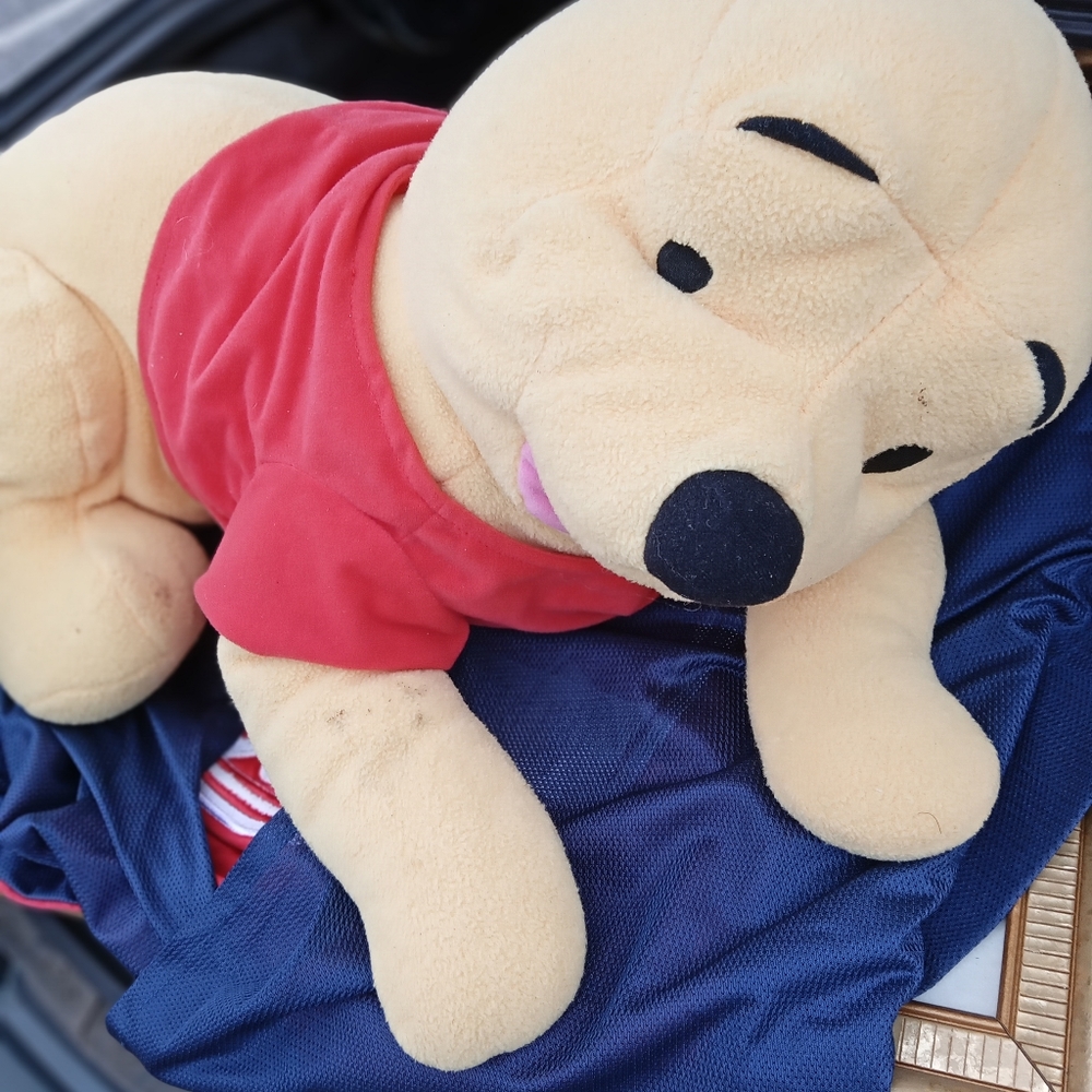 Winnie the Pooh stuffed animal